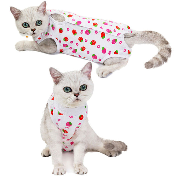Cat Recovery Suit Sterilization