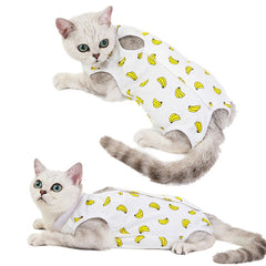 Cat Recovery Suit Sterilization