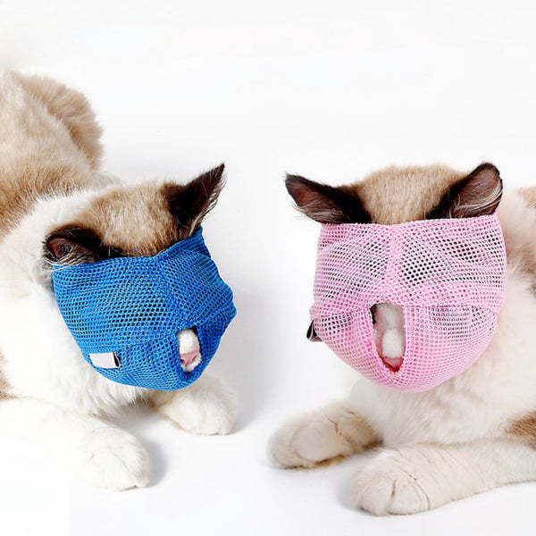 Breathable Mesh Lovely Cat