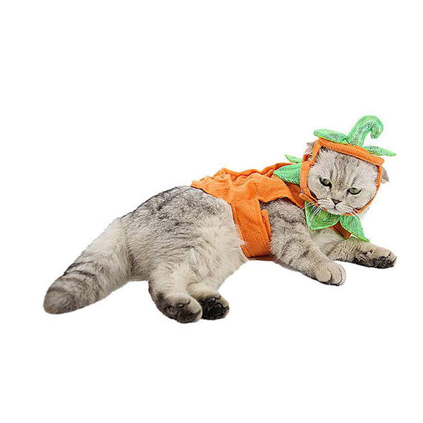 Winter Cat Costume Cute Cloth