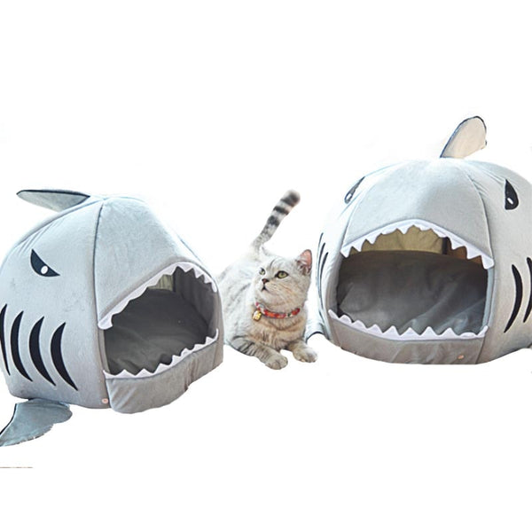 Shark Pet Cat House