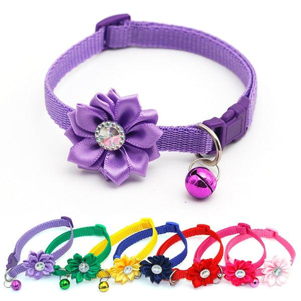 50pcs Pet Collar Cat Accessories