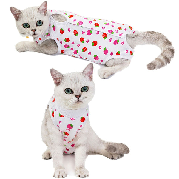 Cat Recovery Suit Sterilization