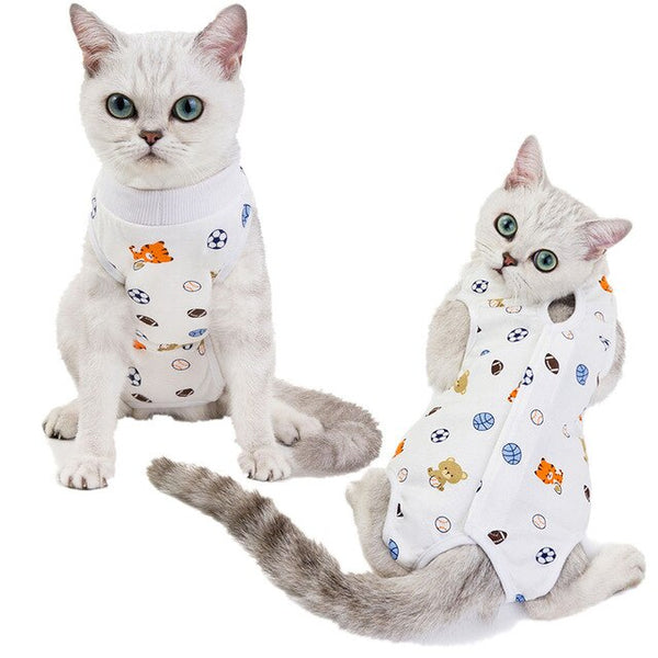 Cat Recovery Suit Sterilization