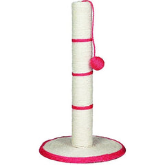 Cat toys are the hottest Latest