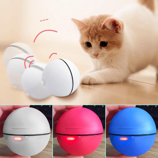 Cat Interactive Laser Ball Light Toys