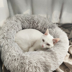6 Sizes Round Plush Cat Bed