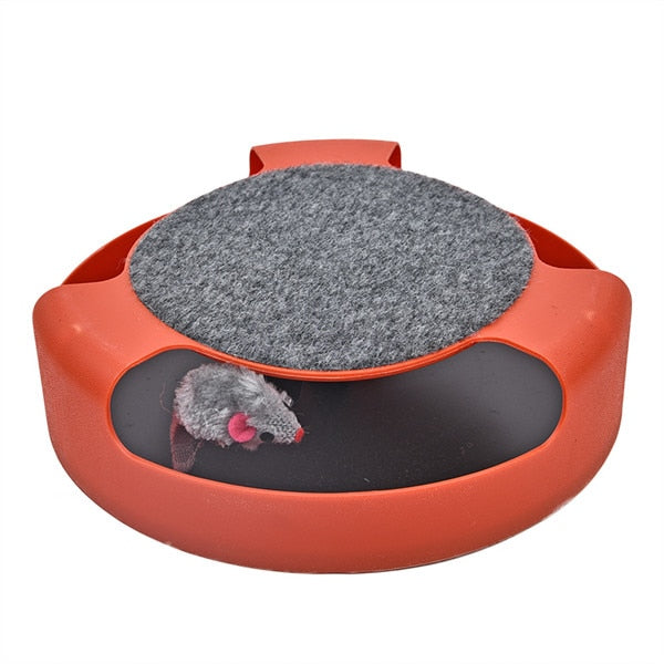 Crazy Training Funny Toy