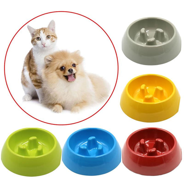 Print Slow Pet Cat Bowl