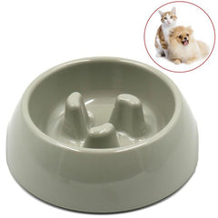Print Slow Pet Cat Bowl